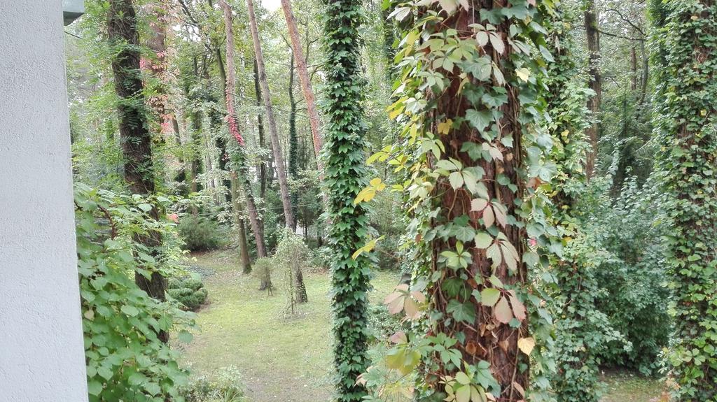 Villa Le Matin Konstancin-Jeziorna Esterno foto