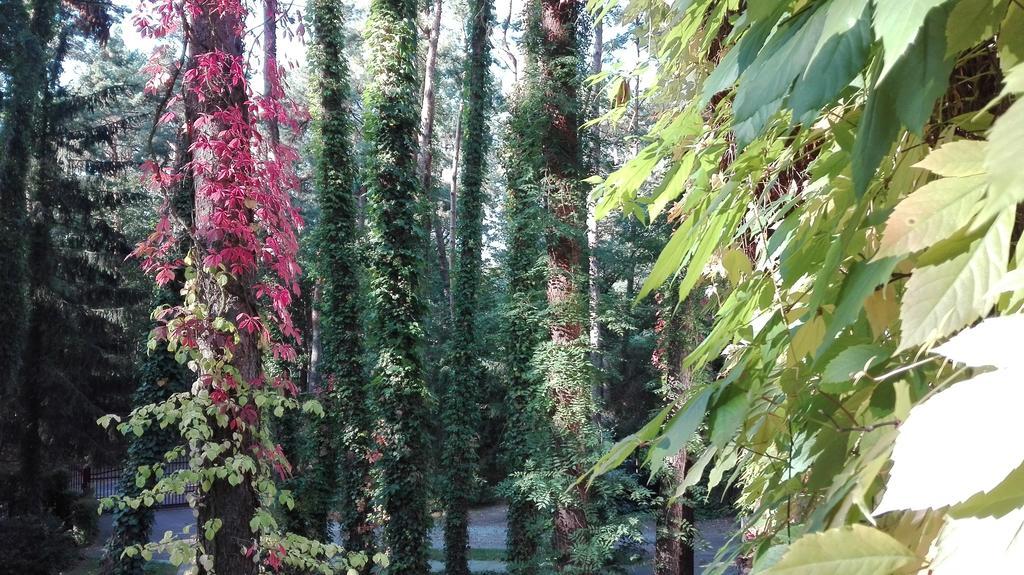 Villa Le Matin Konstancin-Jeziorna Esterno foto